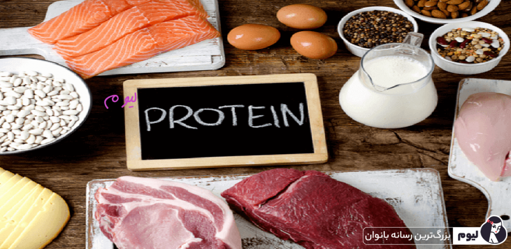غذاهای حاوی پروتئین برای کاهش چاقی